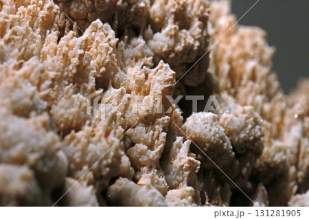 鍾乳石 地学 色 131281905