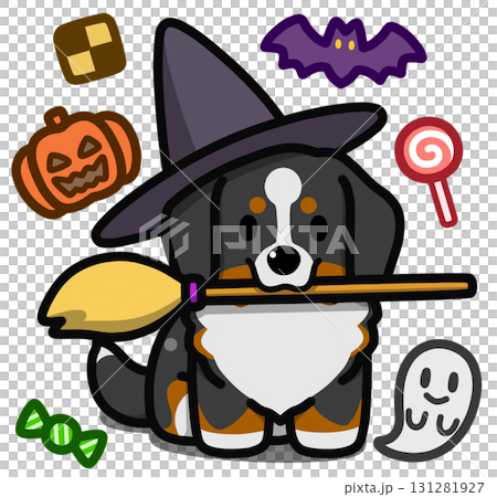 Bernese Mountain Dog in Halloween costume 131281927