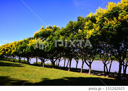 景色 風景 青空 131282025