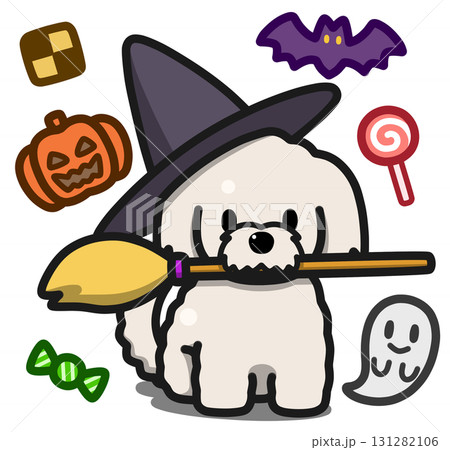 ハロウィン仮装のマルチーズ 131282106