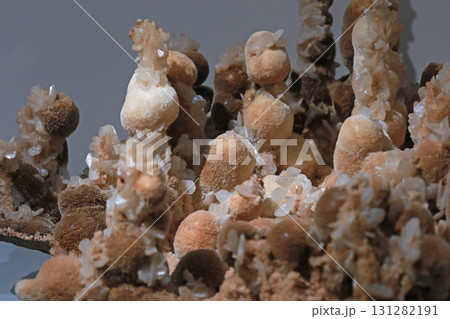 形 姿 フォーム 131282191