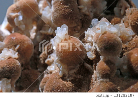 形 姿 フォーム 131282197