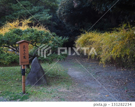 旧芝離宮恩賜庭園の秋色の萩の小道 131282234