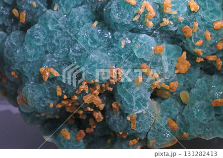 中国 チャイナ 磁器 131282413