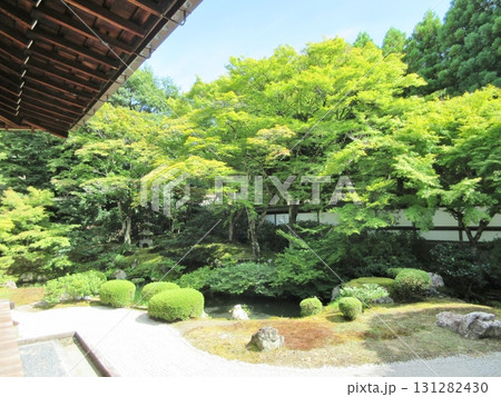 泉涌寺　初夏の庭園 131282430