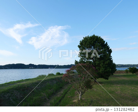 ラムサールの湖沼に陽が沈む。暑かった今日一日。優しい風が皮膚を撫でて通り過ぎていった。 ラムサールの湖沼に陽が沈む。暑かった今日一日。優しい風が皮膚を撫でて通り過ぎていった。 131282462