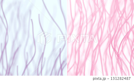 コラーゲン繊維の劣化と改善を比較するビフォーアフターのCGイラスト 131282487