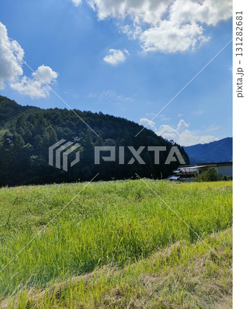 山の中にある田舎の風景 山の中にある田舎の風景 131282681