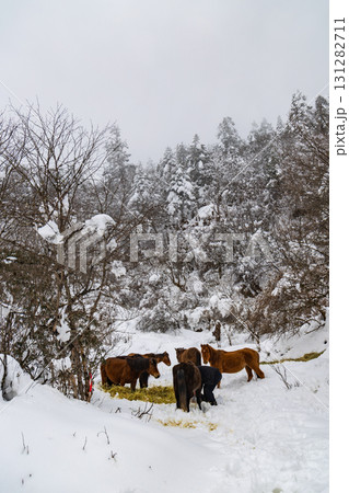 馬 午 雪 131282711