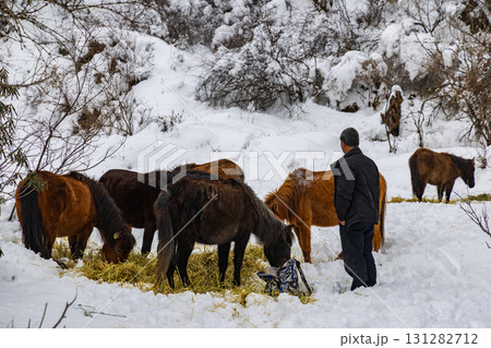 馬 午 雪 131282712