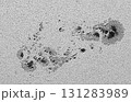太陽黒点 131283989