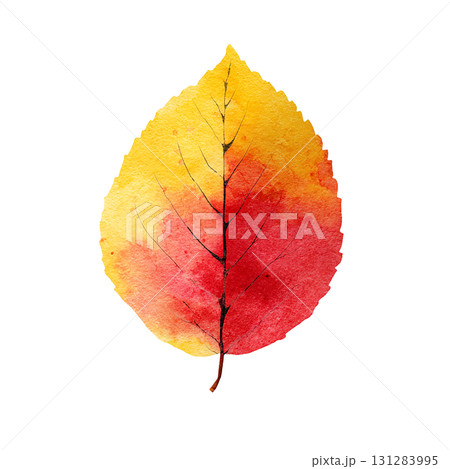 紅葉の葉のシンプルなイラスト素材｜秋・落ち葉・透過PNG 131283995