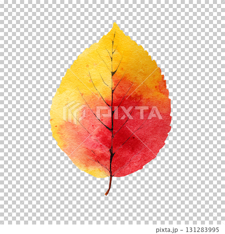 紅葉の葉のシンプルなイラスト素材｜秋・落ち葉・透過PNG 131283995