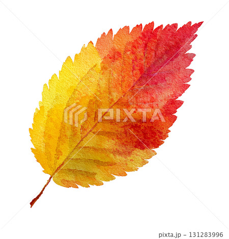 紅葉の葉のシンプルなイラスト素材｜秋・落ち葉・透過PNG 131283996