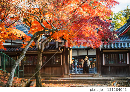 Red maple leaf with tourist girl at Tamukeyama Shrine in fall, Nara 131284041