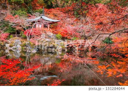 Pavilion pagoda and red bridge in Daigo-ji temple with fall color, Kyoto 131284044