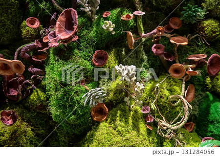 Tapestry of wood mushrooms, moss, flower, and lichens 131284056