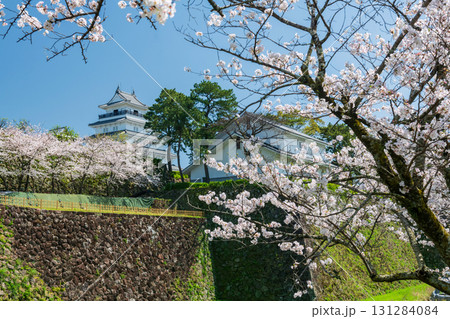 Shimabara castle with sakura blossom in spring, Nagasaki Shimabara castle with sakura blossom in spring, Nagasaki 131284084