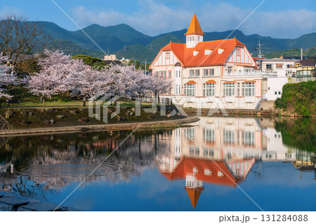 Siebold no Yu and spring sakura garden by pond with reflection, Ureshino 131284088