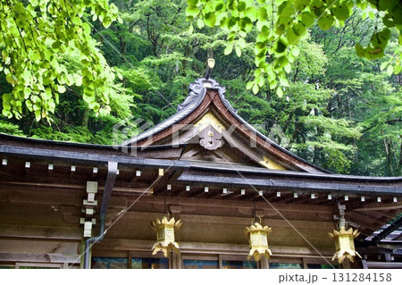 緑に覆われた貴船神社 緑に覆われた貴船神社 131284158