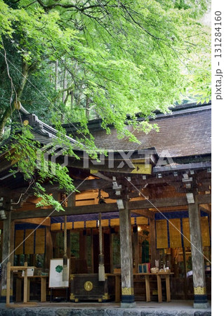 緑に覆われた貴船神社 緑に覆われた貴船神社 131284160