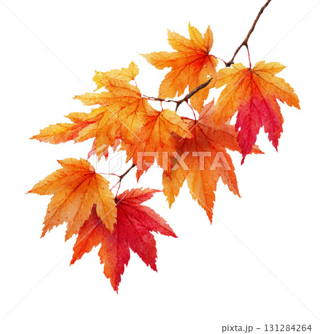 枝付き紅葉のシンプルイラスト素材｜秋・もみじ・透過PNG 131284264