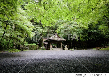 緑に覆われた貴船神社の奥宮 緑に覆われた貴船神社の奥宮 131284403