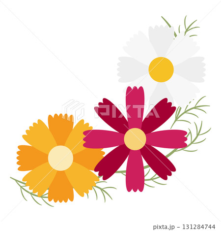 3色のコスモスの花のコーナー素材・右下 131284744
