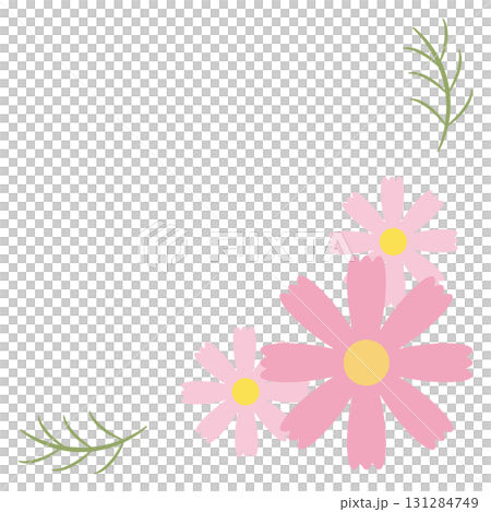 三色波斯菊角素材，右下角 131284749