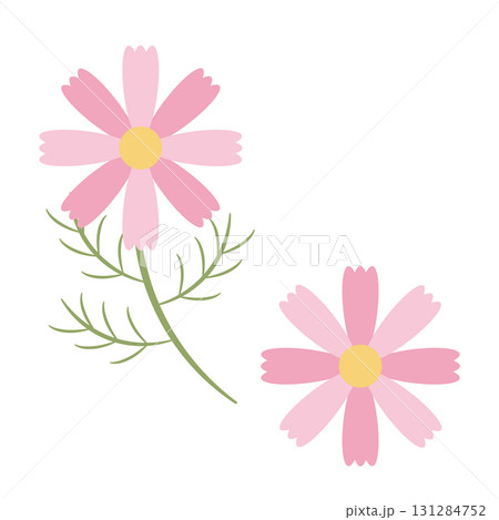 コスモスの花・アイコン 131284752