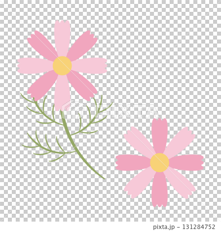 コスモスの花・アイコン 131284752