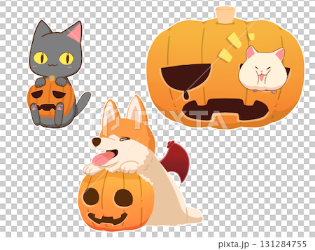 萬聖節的動物 131284755