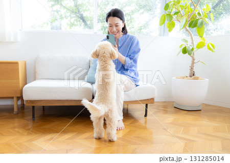 ライフスタイル　リビング　愛犬をスマホで撮影するミドル女性 131285014