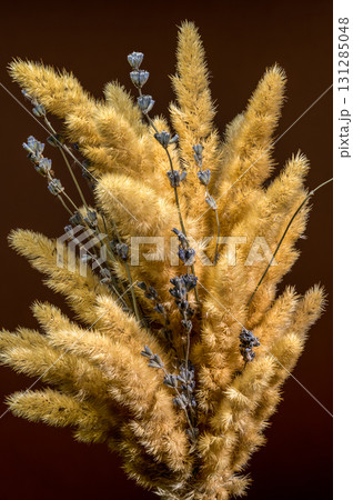 Fluffy Golden Grasses with Lavender on a Dark Background 131285048