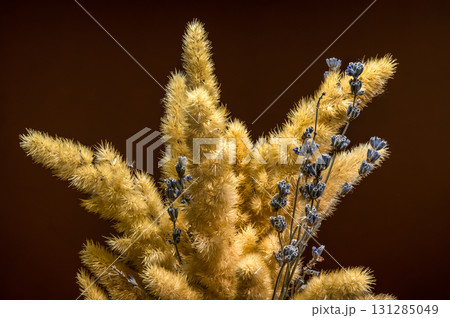 Fluffy Golden Grasses with Lavender on a Dark Background Fluffy Golden Grasses with Lavender on a Dark Background 131285049