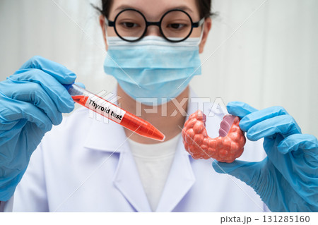 Doctor holding thyroid gland model and blood sample test tube in laboratory. 131285160