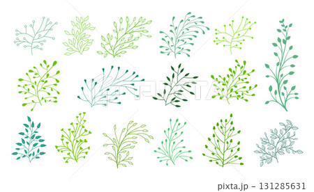 collection of fresh and green natural leaves branch background 131285631