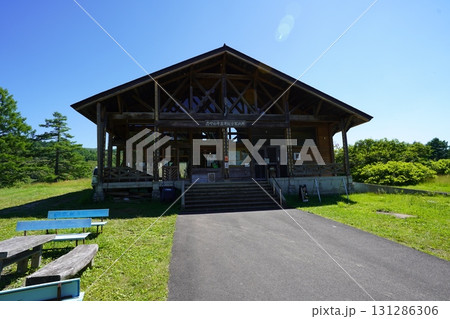 7月の北ドブ湿原（長野県木島平村） 131286306