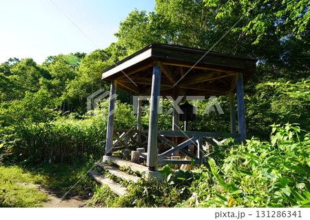 7月の北ドブ湿原(長野県木島平村) 7月の北ドブ湿原(長野県木島平村) 131286341