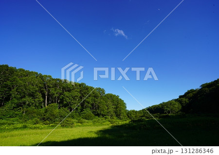 7月の北ドブ湿原(長野県木島平村) 7月の北ドブ湿原(長野県木島平村) 131286346