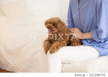 ペット　飼い主とベッドでくつろぐ犬 131286376