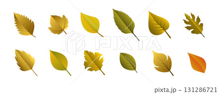 herbal and flat autumn leaves background design herbal and flat autumn leaves background design 131286721
