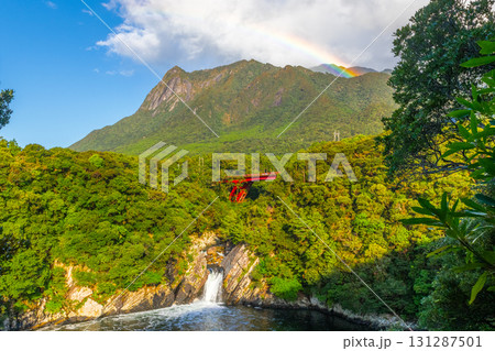 虹　屋久島　モッチョム岳とトローキの滝(秋 131287501
