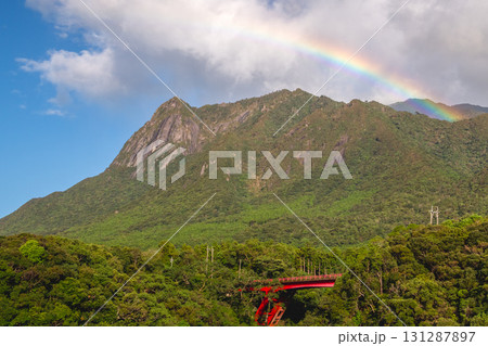 虹　世界自然遺産屋久島　モッチョム岳(秋 131287897
