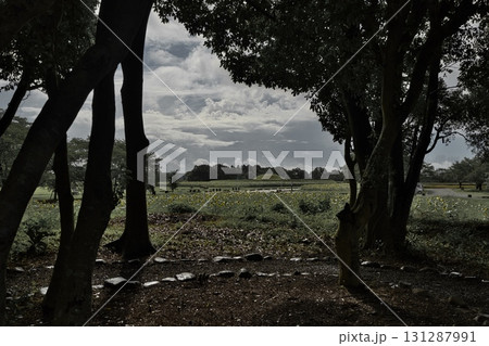 西都市　西都原古墳群　R7年 131287991