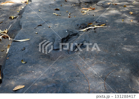 Dinosaur footprints Three-toed predatory species Carved in black natural stone. 131288417