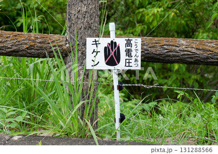 野生動物の侵入防止柵 (Barrier to Prevent Wildlife Intrusion) 野生動物の侵入防止柵 (Barrier to Prevent Wildlife Intrusion) 131288566