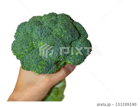 Ripe broccoli in a woman's hand on a white background Ripe broccoli in a woman's hand on a white background 131289190