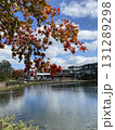 紅葉したもみじ 131289298