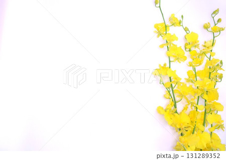 黄色いオンシジウムのフラワーフレーム 131289352